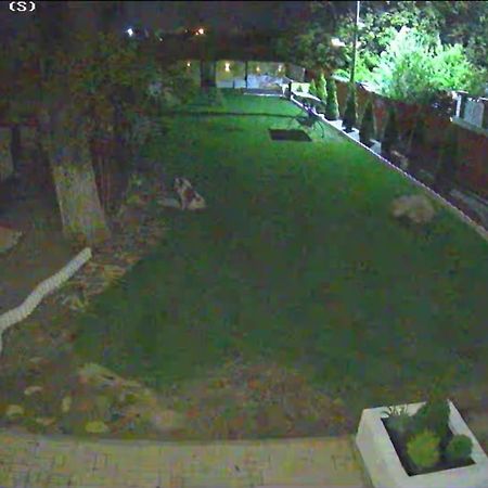 Izabella Guest House Sacele Exterior photo