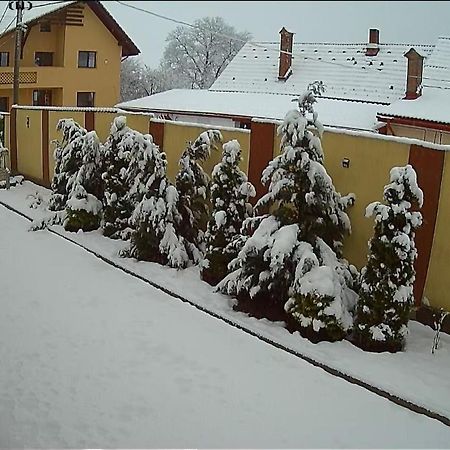 Izabella Guest House Sacele Exterior photo