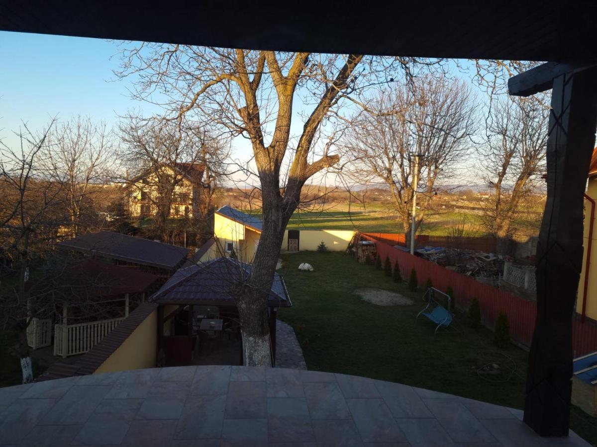 Izabella Guest House Sacele Exterior photo