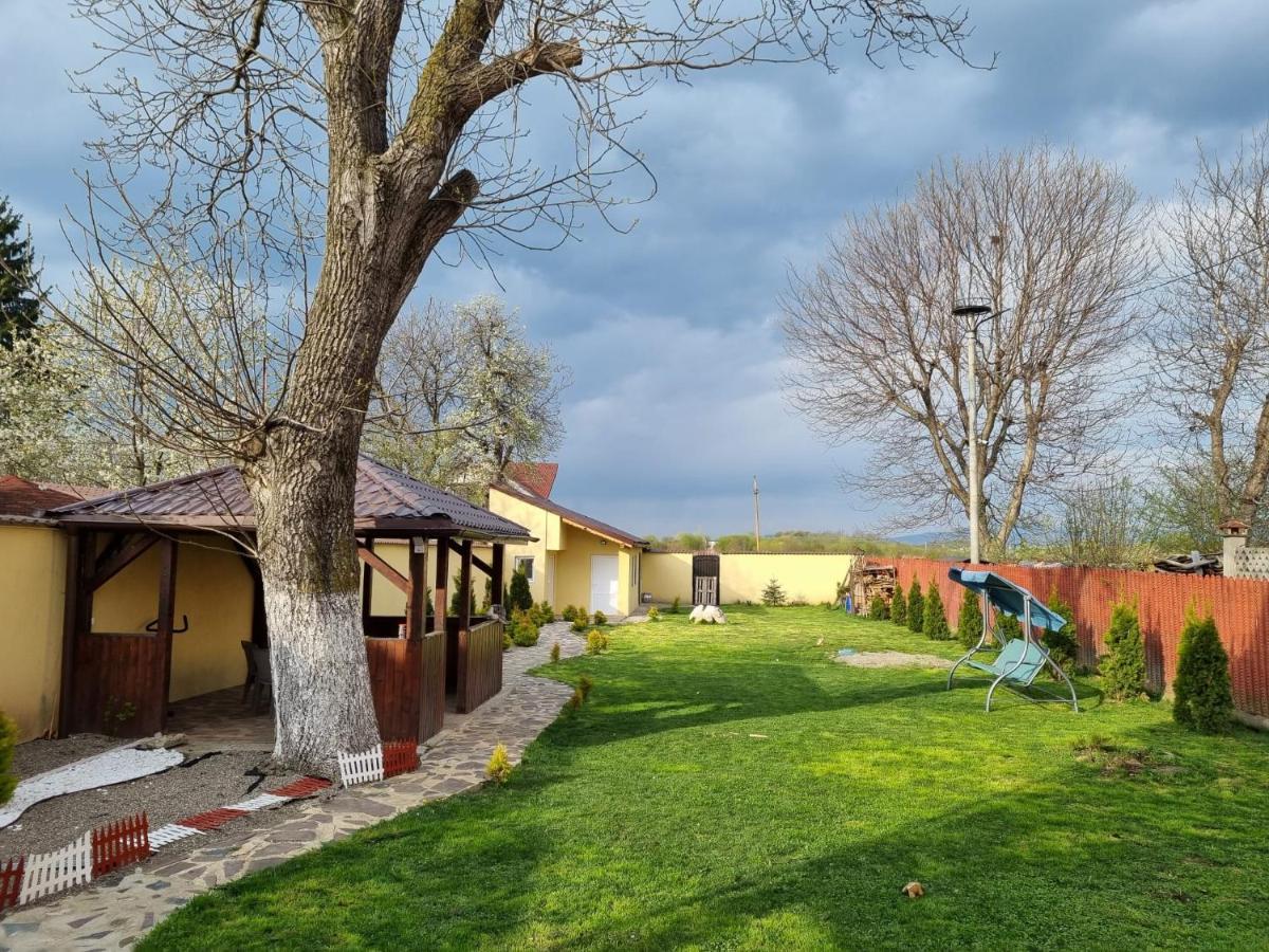 Izabella Guest House Sacele Exterior photo