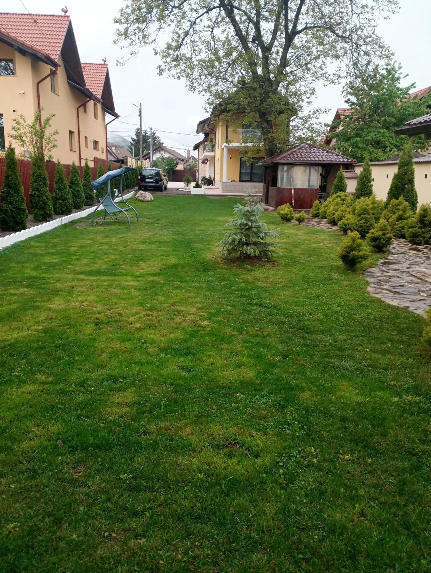 Izabella Guest House Sacele Exterior photo