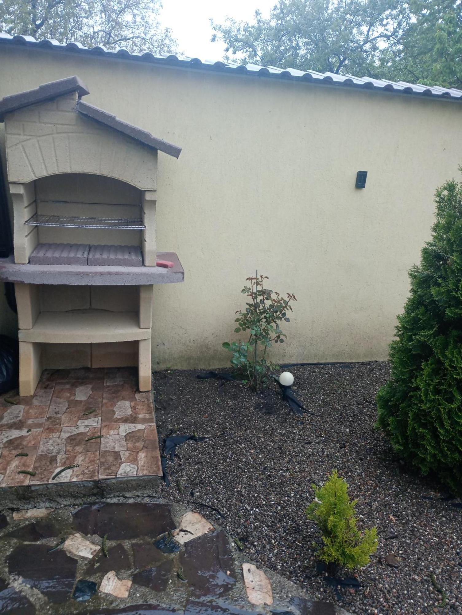 Izabella Guest House Sacele Exterior photo