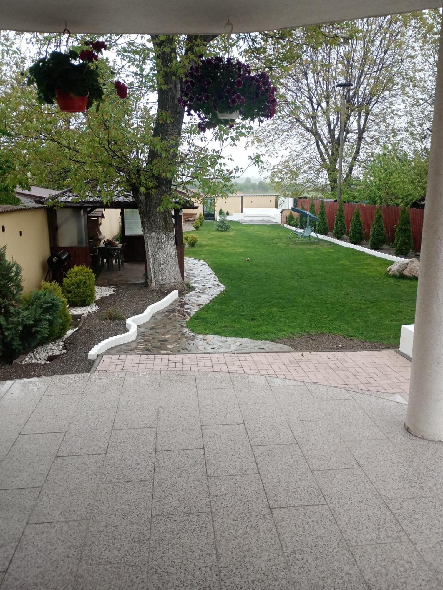 Izabella Guest House Sacele Exterior photo