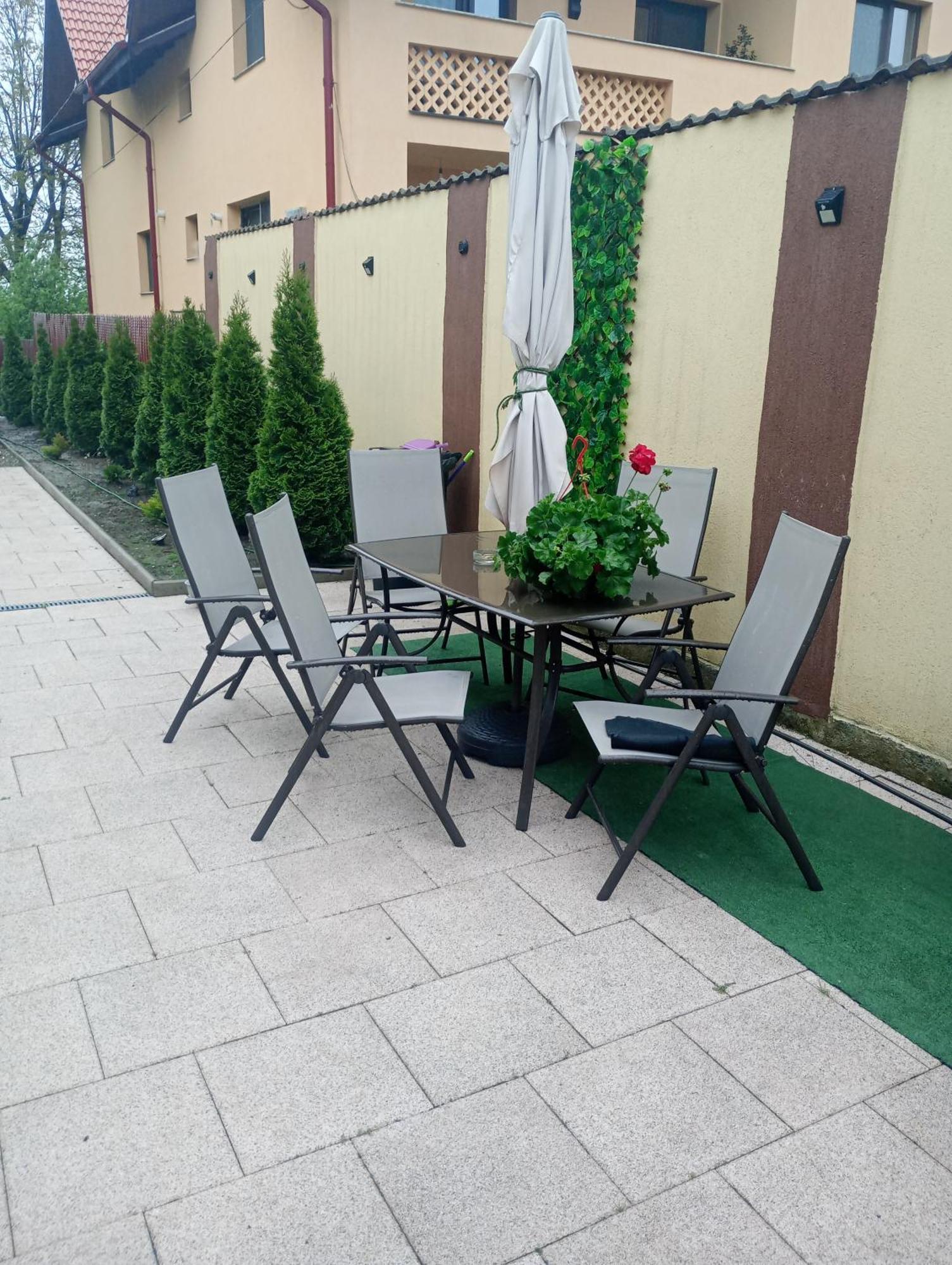 Izabella Guest House Sacele Exterior photo