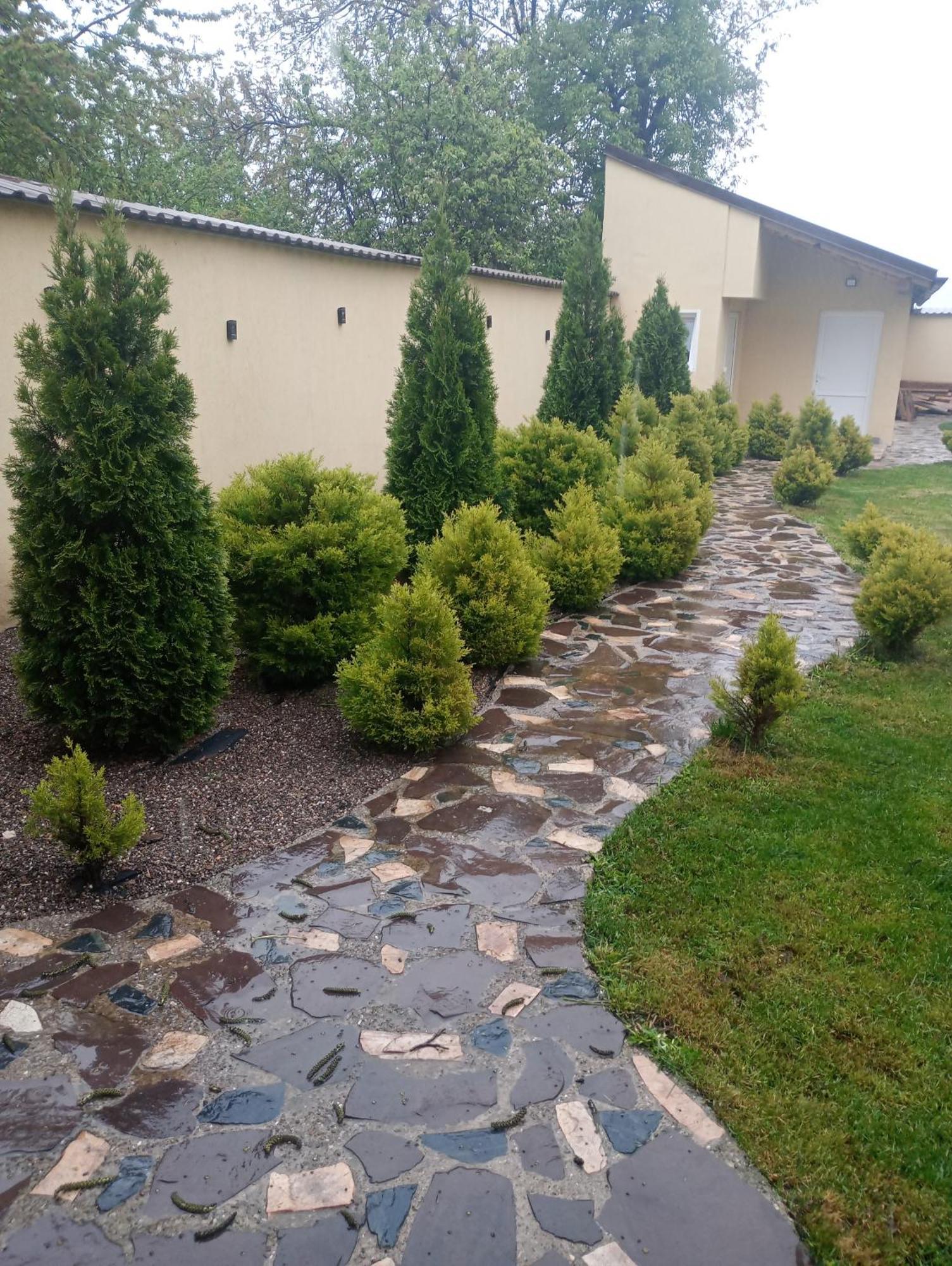 Izabella Guest House Sacele Exterior photo