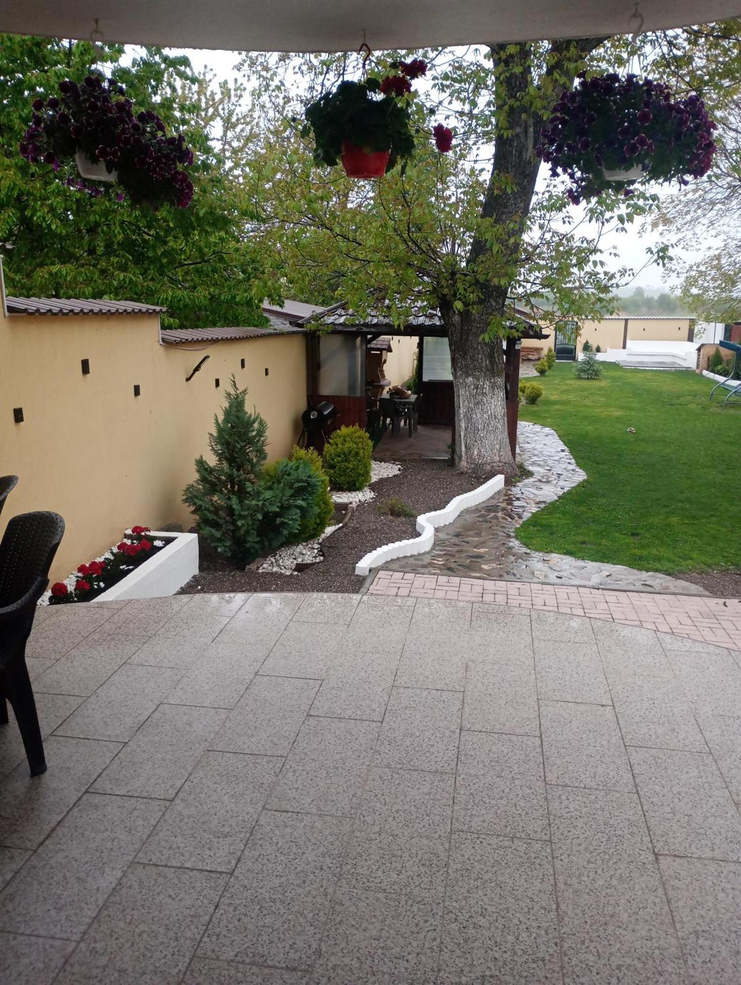 Izabella Guest House Sacele Exterior photo
