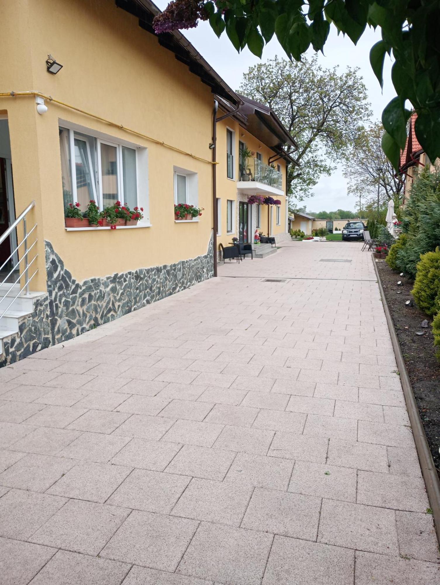 Izabella Guest House Sacele Exterior photo