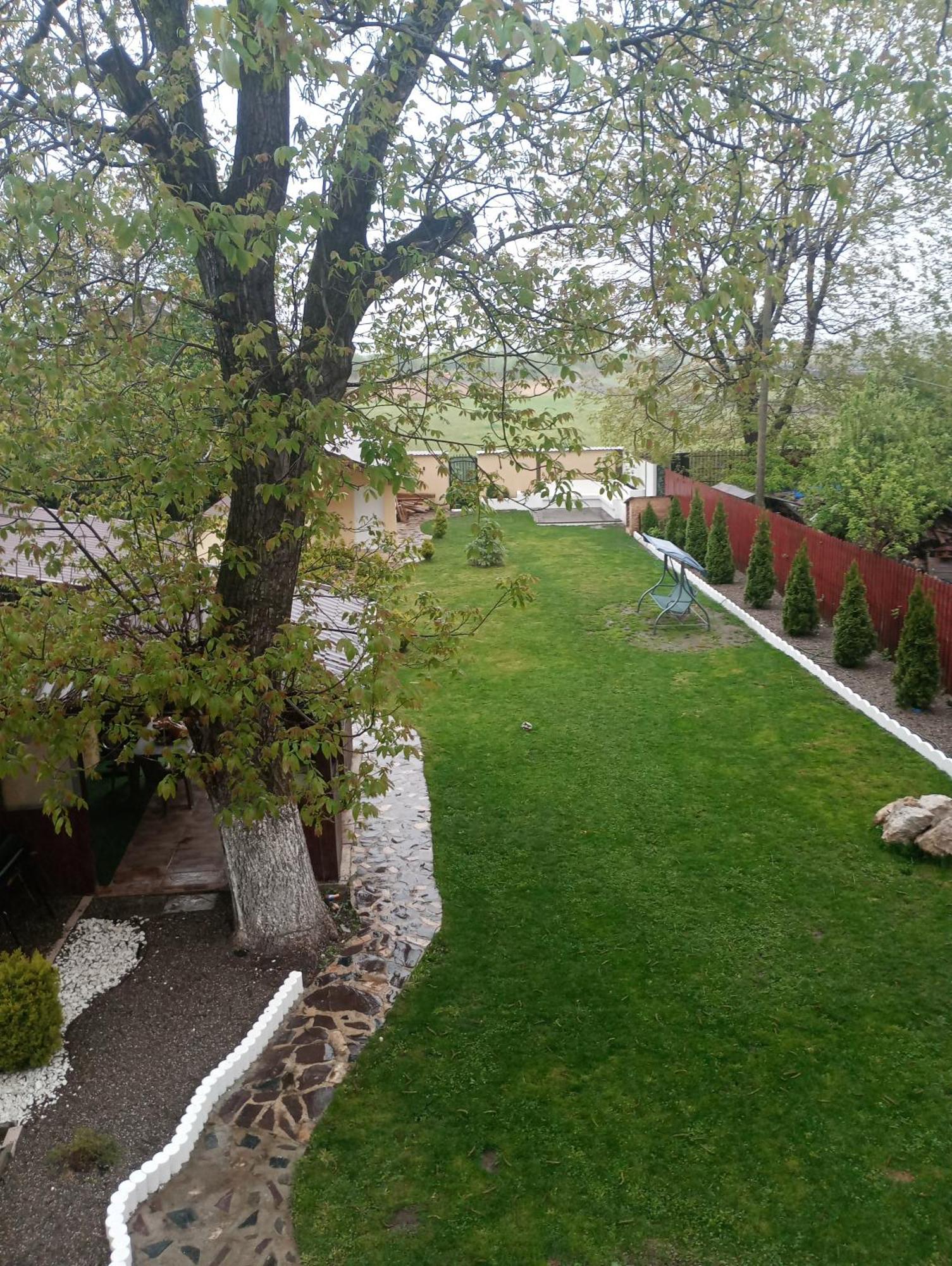 Izabella Guest House Sacele Exterior photo