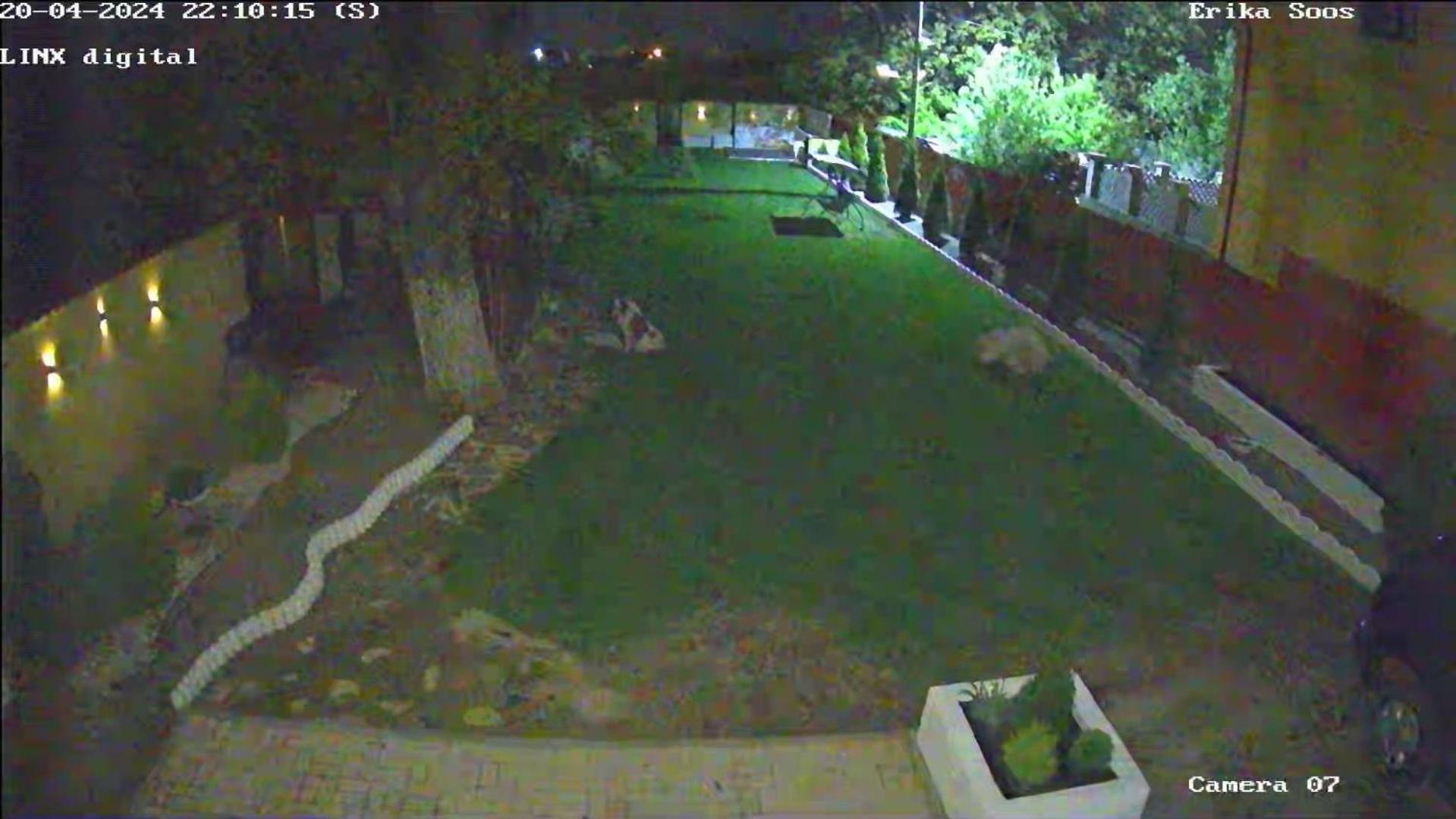 Izabella Guest House Sacele Exterior photo