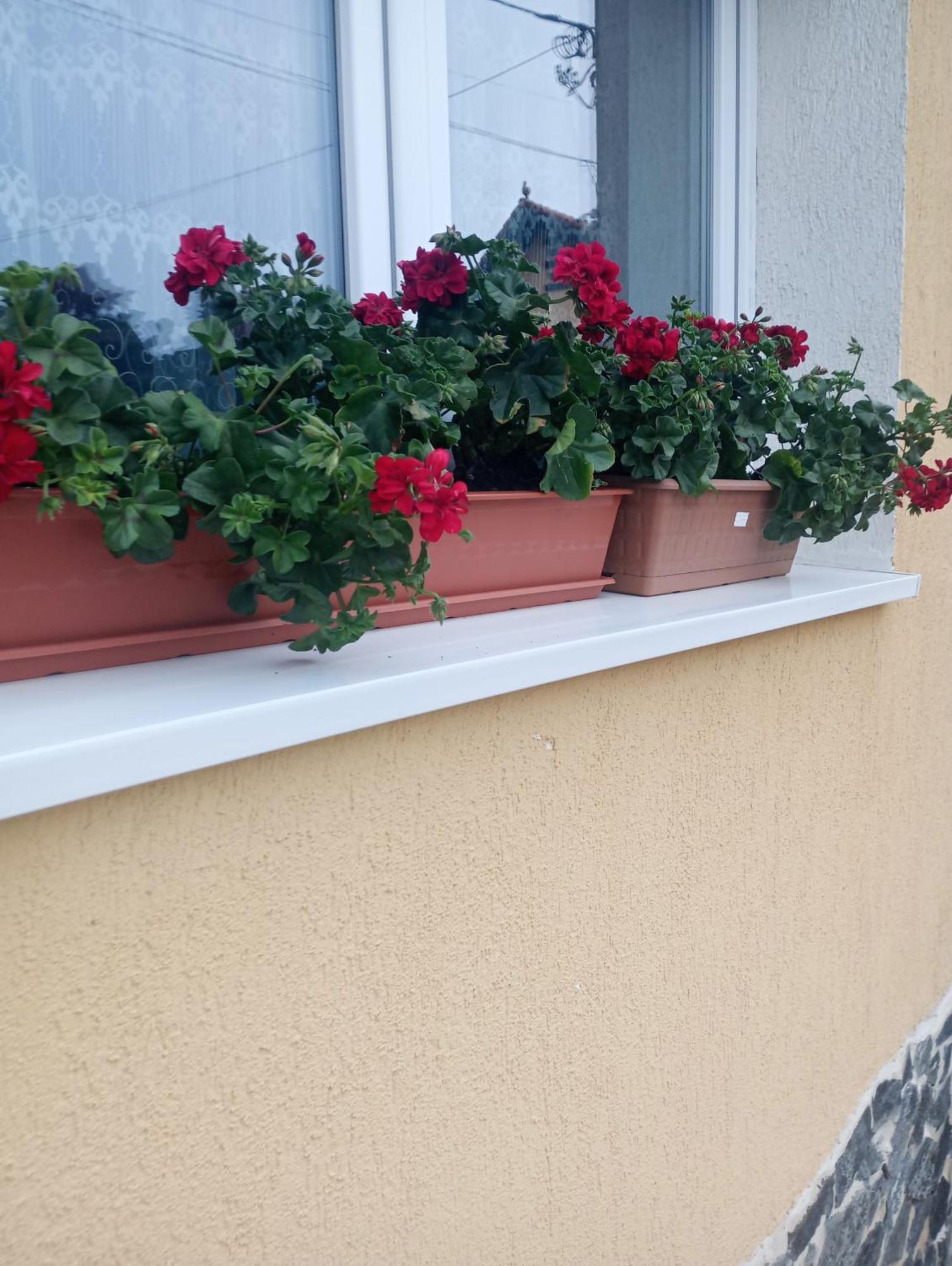 Izabella Guest House Sacele Exterior photo