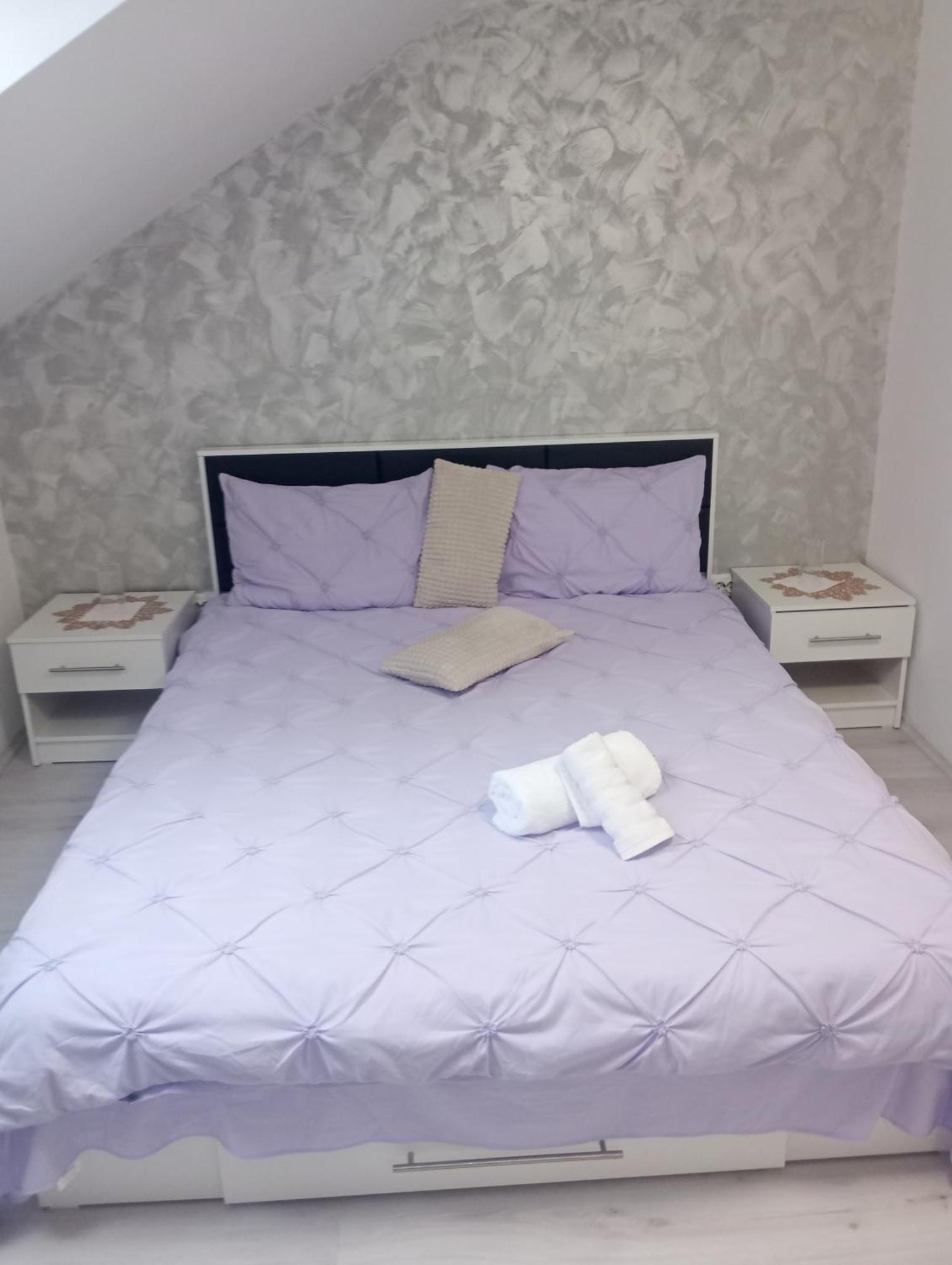 Izabella Guest House Sacele Exterior photo