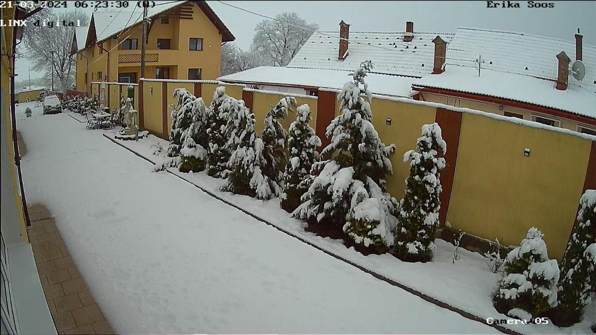 Izabella Guest House Sacele Exterior photo